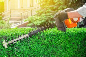 Best Landscaping Tips from Top-Rated Landscaping in Houston, The Woodlands, Spring, TX, Conroe, Tomball, and Magnolia