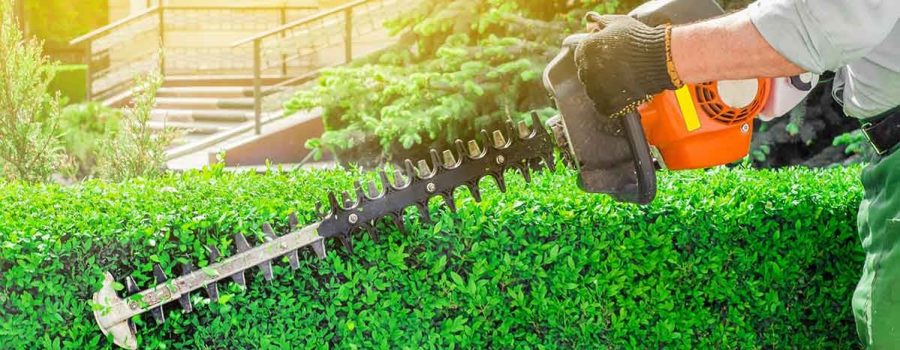 Best Landscaping Tips from Top-Rated Landscaping in Houston, The Woodlands, Spring, TX, Conroe, Tomball, and Magnolia